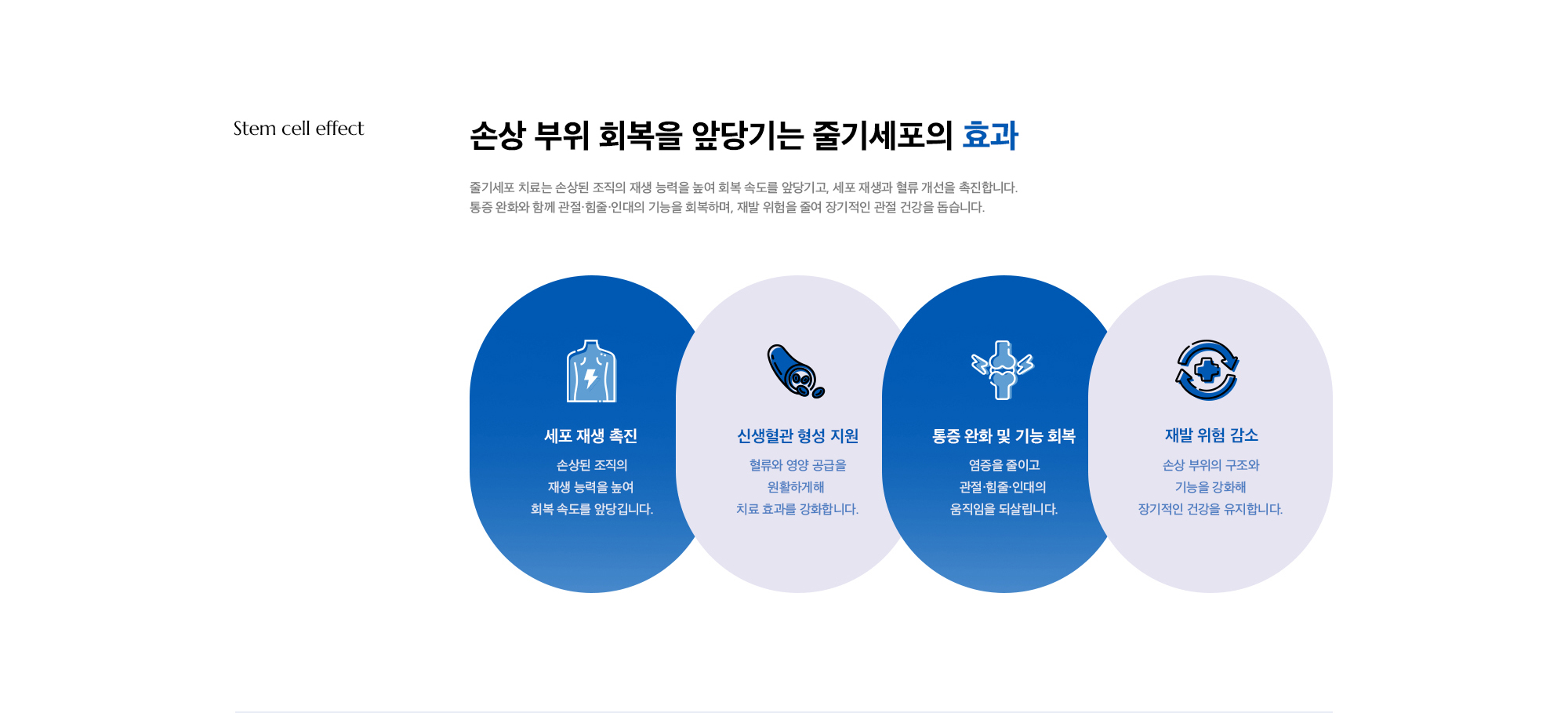 [손상 부위 회복을 앞당기는 줄기세포의 효과] 세포 재생 촉진 / 신생혈관 형성 지원 / 통증 완화 및 기능 회복 / 재발 위험 감소